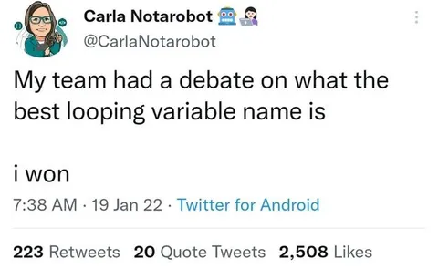 Best Looping Variable Name