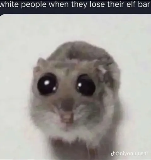 White People Lose Their Elf Bar