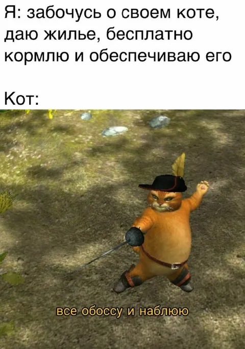 Кот не оценил заботу