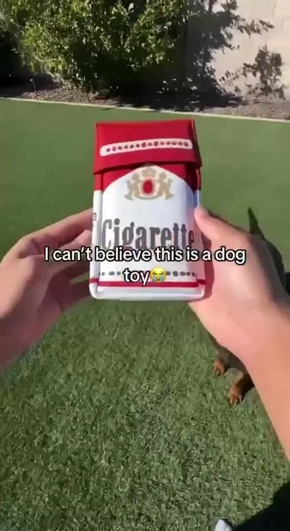 Dog Thinks Cigarette Is a Toy