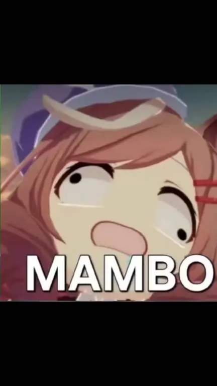 MAMBO cat reaction
