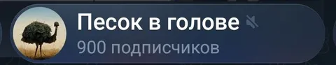 Песок в голове — 900 подписчиков