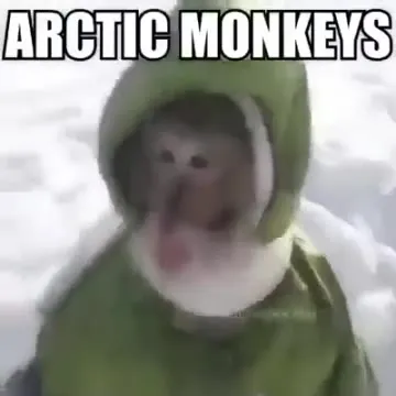 Arctic Monkeys in Winter