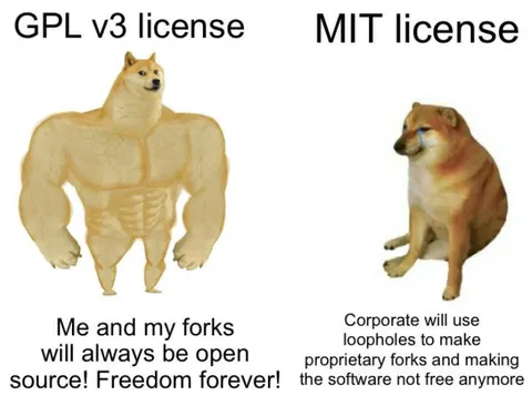 GPL Freedom Versus MIT Loopholes