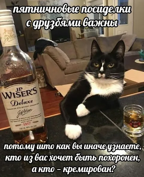 Пятничные посиделки с друзьями