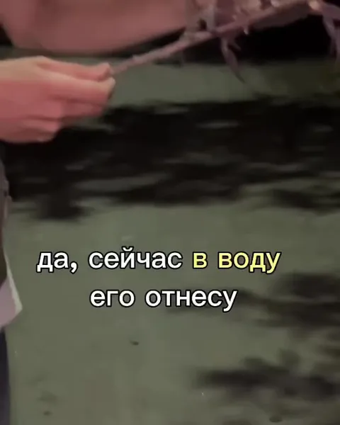 Сухопутный краб на воде