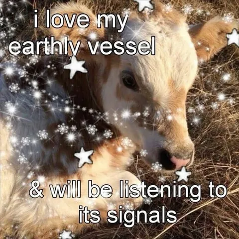 Cow Loves Its Earthly Vessel
