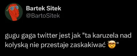 Twitter jak karuzela nad kołyską