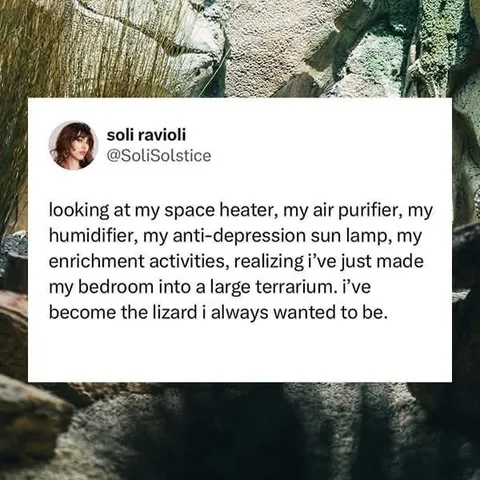 Bedroom Terrarium Lizard