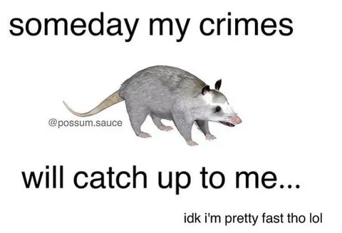 Someday My Crimes Will Catch Up
