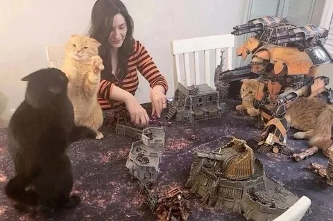 Кошки играют в настольную войну