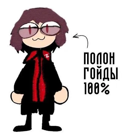 Попон гойды 100%
