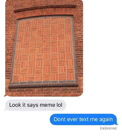 Brick Wall Says Meme