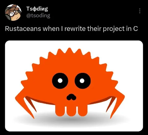 Rustaceans When Code Becomes C