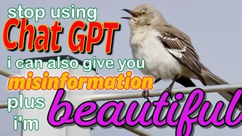 Stop Using Chat GPT