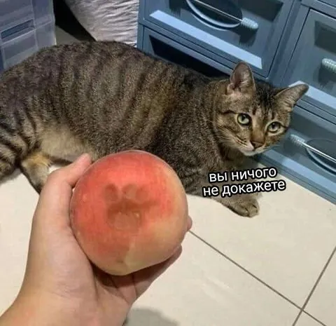 Вы ничего не докажете