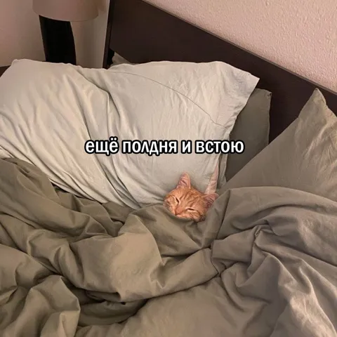 Ещё полдня и встану