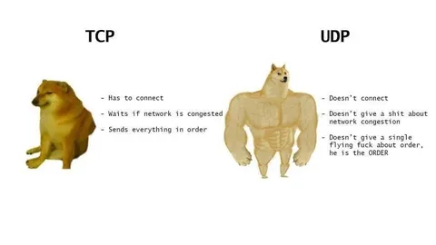 TCP vs UDP Doge