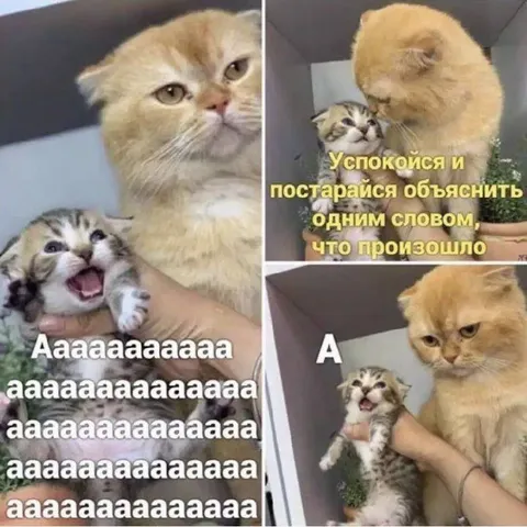 Успокойся и объясни одним словом