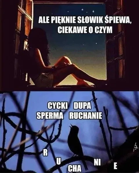 Słowik śpiewa o seksie