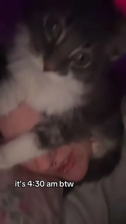 It’s 4:30 AM With the Cat