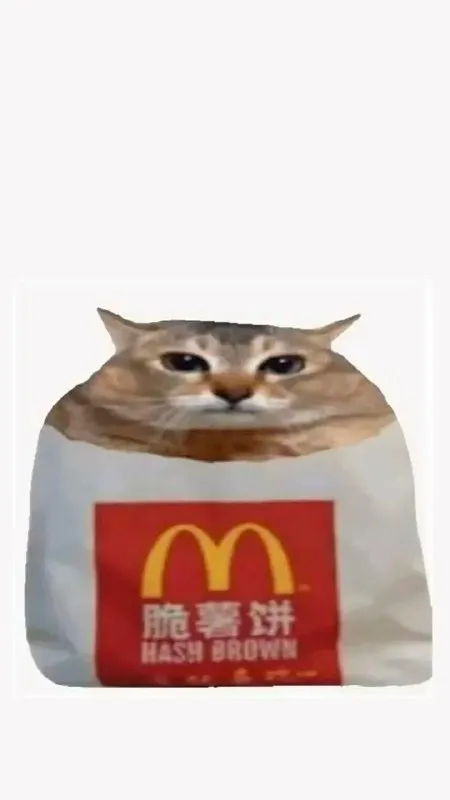 猫咪变成薯饼袋