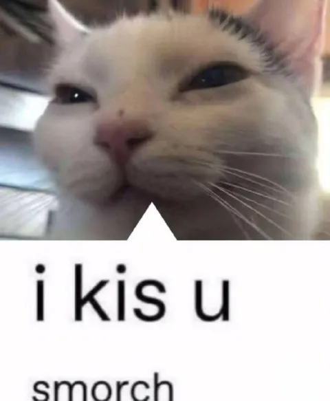i kis u smorch cat