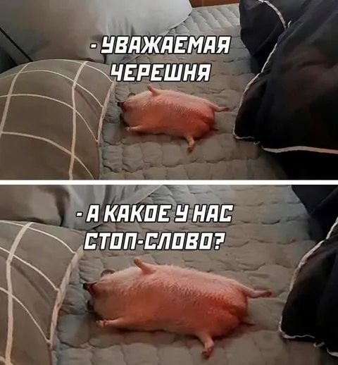 Уважаемая черешня и стоп-слово