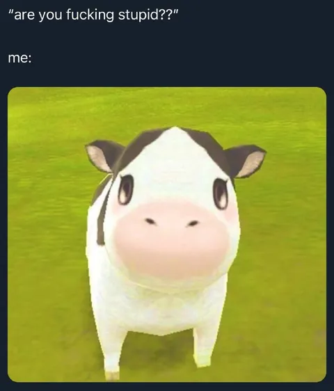 Are You Fucking Stupid Cow