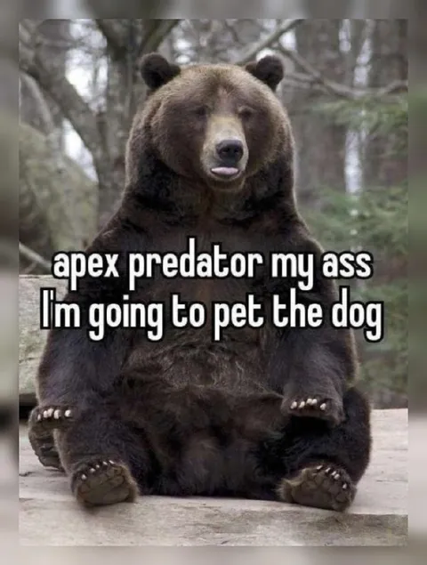 Apex Predator Wants to Pet Dog