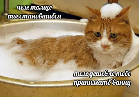 Толще становишься — баня помогает