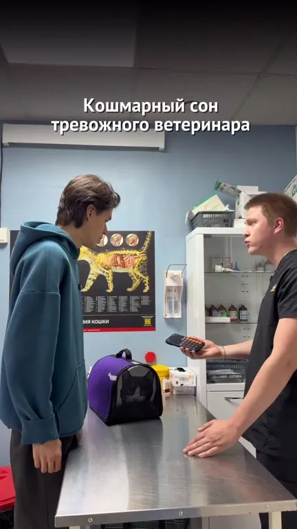 Кошмарный сон ветеринара