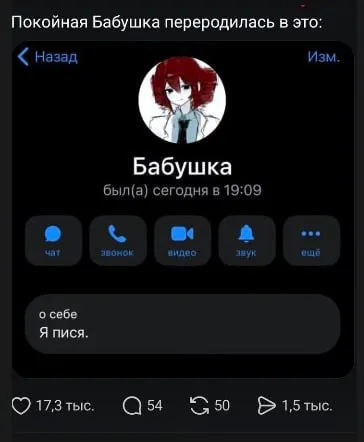 Бабушка-пися в телефоне