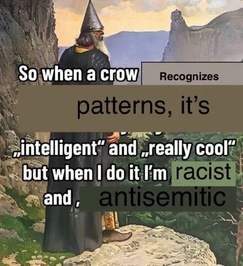 Crow Recognizes Patterns