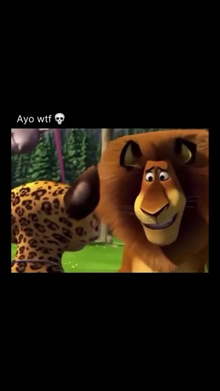 Ayo WTF Lion Transformation