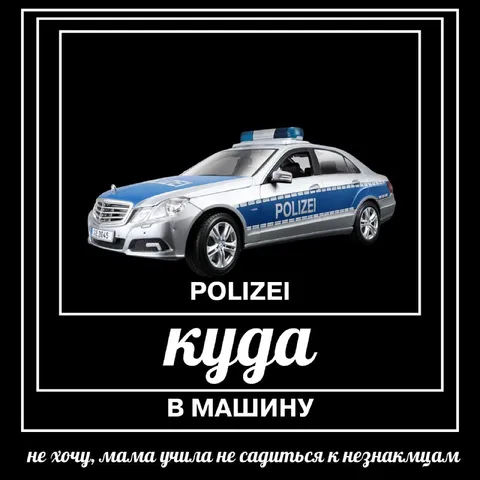 Куга в машину