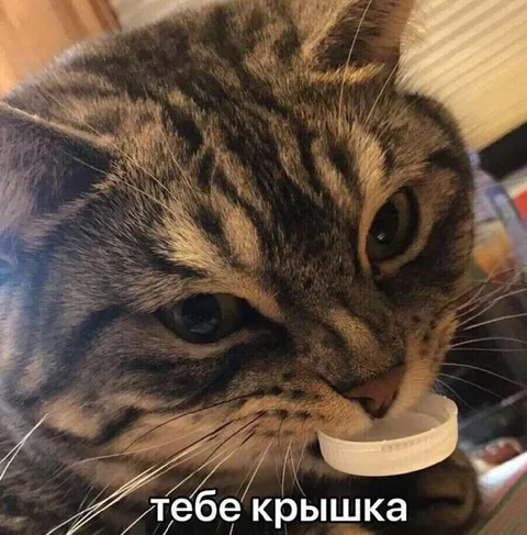 Тебе крышка