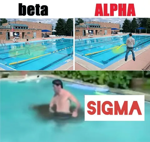 Beta Alpha Sigma Pool Meme