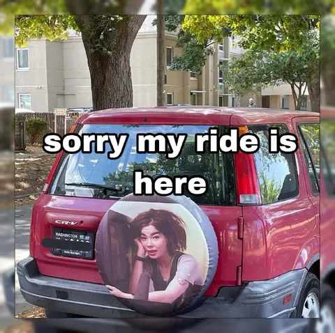 Sorry My Ride Is Here