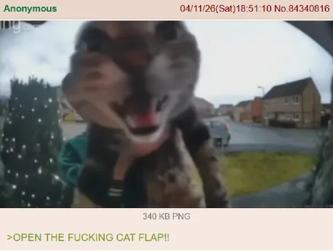 Open the Fucking Cat Flap
