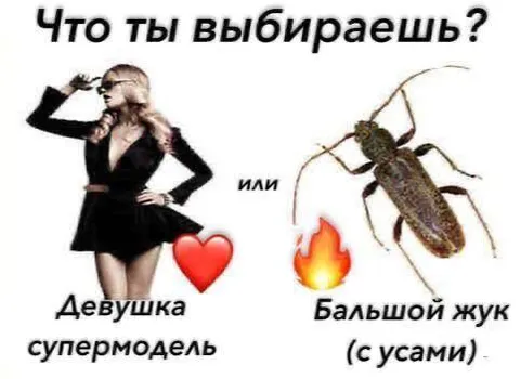 Девушка или большой жук