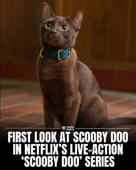First Look at Live-Action Scooby-Doo