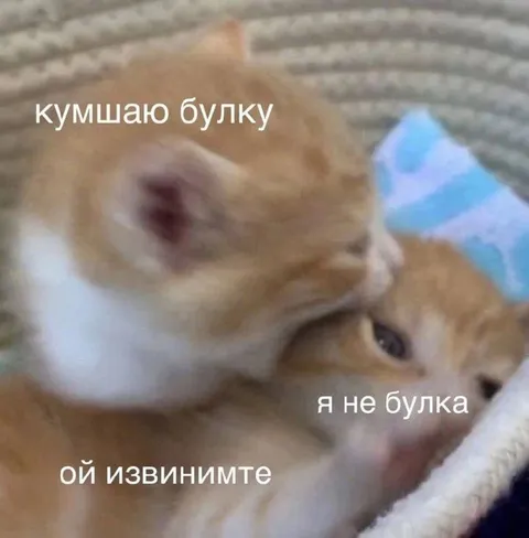 Кумшаю булку, а я не булка