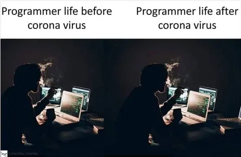 Programmer Life Before and After Corona