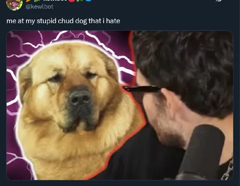 Me at My Stupid Dog