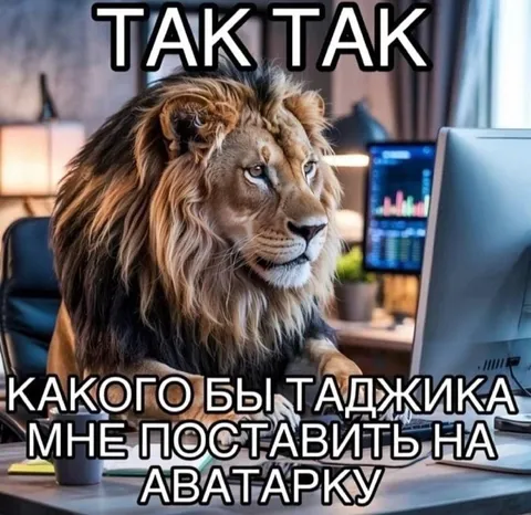 Лев выбирает таджика на аватарку