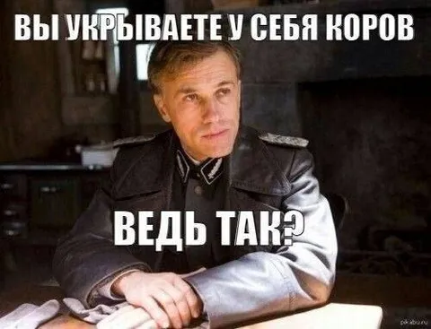 Вы укрываете у себя коров