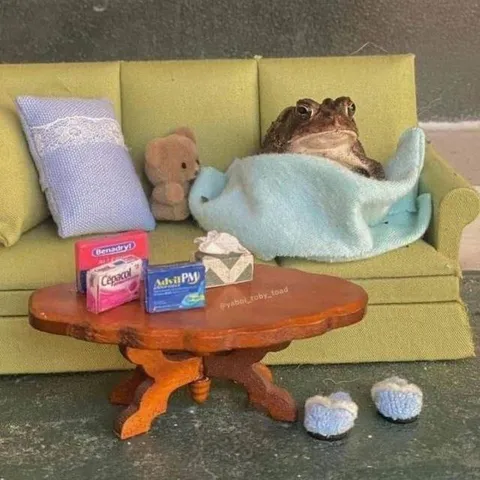 Sick Frog on the Couch