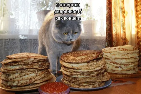 Кот отвергает умеренность