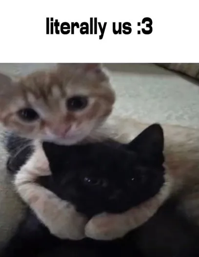 Literally Us Cat Hug